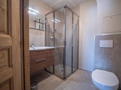 une salle de bain avec une douche, des toilettes et un lavabo dans l'établissement Appartement neuf 6 pers, pied de pistes avec parking, Valmorel - FR-1-356-521, à Valmorel