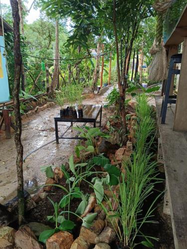 Un jardín fuera de Dragonfly Guesthouse M'Pai Bay
