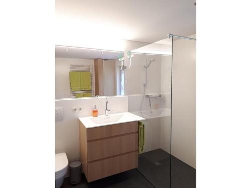 a bathroom with a sink and a mirror and a toilet at Winterstaude Comfortable holiday residence in Großdorf