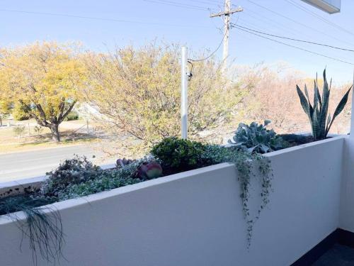 a white wall with some plants on a street at Modern Central Retreat 1 in Wagga Wagga