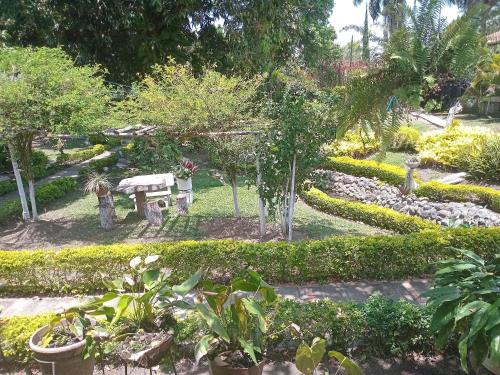 Gallery image of Eco Hotel Finca El Encanto Santa Elena in Santa Helena