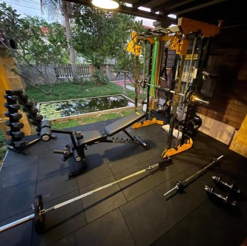 Fitness centrum a/nebo fitness zařízení v ubytování Golden Mango House