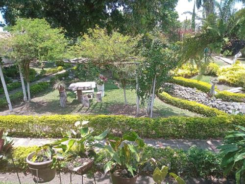 Gallery image of Eco Hotel Finca El Encanto Santa Elena in Santa Helena