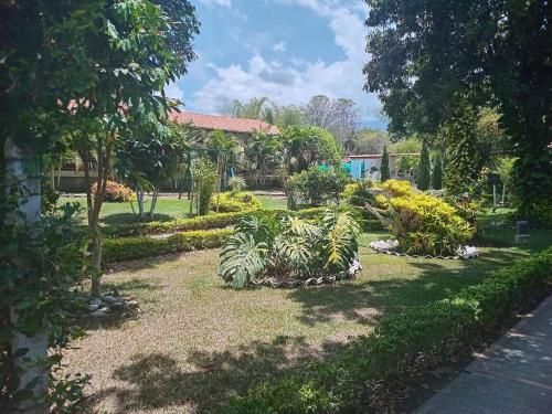 Gallery image of Eco Hotel Finca El Encanto Santa Elena in Santa Helena