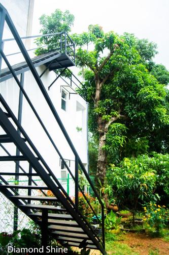 Diamond shine hostal and bunk bedsにある庭
