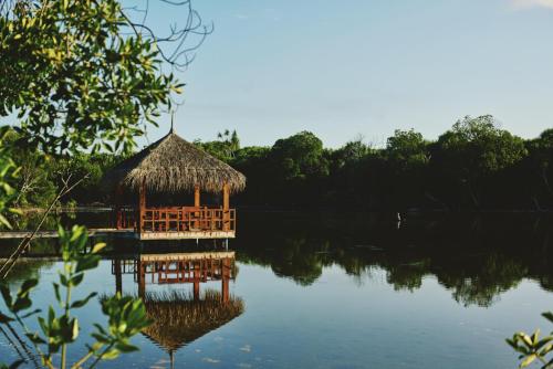 Landskap semula jadi dekat dengan resort