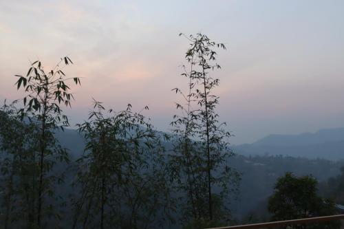 a view of a mountain with trees in the foreground at Srijana Farm in Pālpā