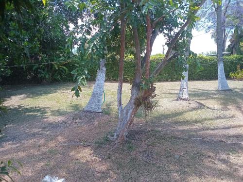 Gallery image of Eco Hotel Finca El Encanto Santa Elena in Santa Helena
