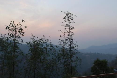 a group of trees with a view of a valley at Srijana Farm in Pālpā