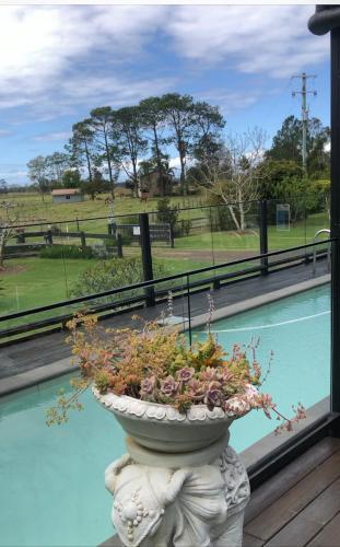 a planter with flowers sitting on top of a pool at Bird Song Farm in Hat Head