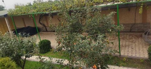 Un jardín fuera de Club Resort Kulob