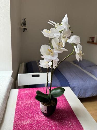 un vase avec des fleurs blanches sur une table dans l'établissement Studio, hyper centre La Rochelle, à La Rochelle