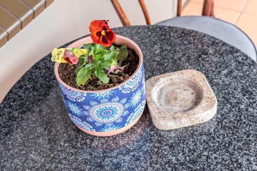 a flower in a pot sitting on a table at Gold Crest Guesthouse in Roodepoort