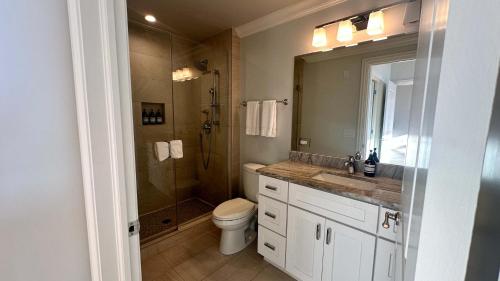 a bathroom with a shower and a toilet and a sink at Chic 2 BR 1 Parking Sleeps 6 in Chicago