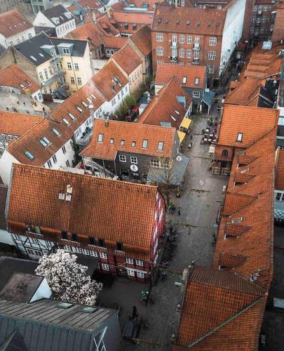 an overhead view of a city with red roofs at Luxurious villa - exceptional location in city center with free P in Odense