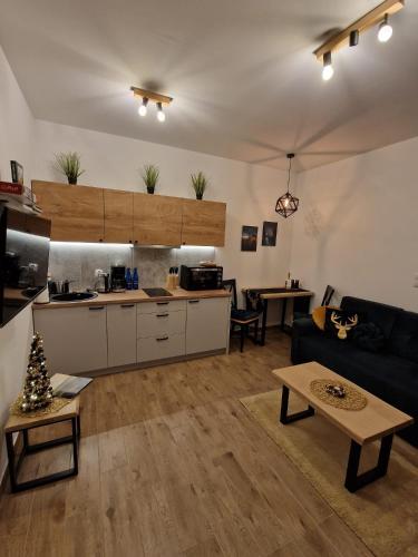 a living room with a couch and a kitchen at Dusznickie Apartamenty z widokiem in Duszniki Zdrój