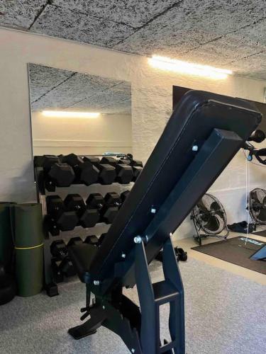 a gym with a row of chairs and a treadmill at Luxurious villa - exceptional location in city center with free P in Odense