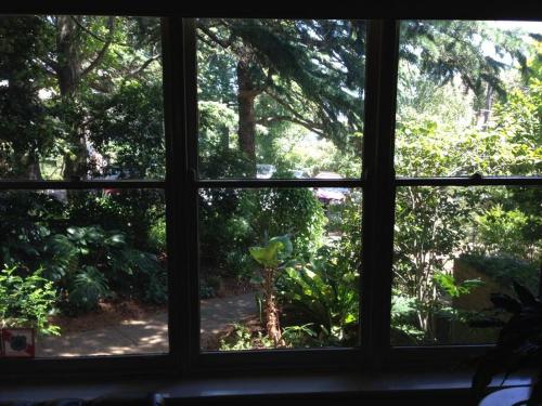 a window view of a garden from a house at Picture Perfect Toorak, entire apartment in Melbourne