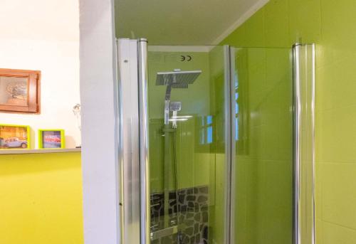 La salle de bains est pourvue d'une douche et de murs verts. dans l'établissement 30ciga, à Saint-Brès