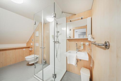 Un baño con ducha, inodoro y lavabo. en Pension & Reitstall Inghofer, en Heidenreichstein