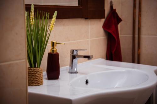 a bathroom sink with a faucet and a plant at Csengőd Kúria in Csengőd