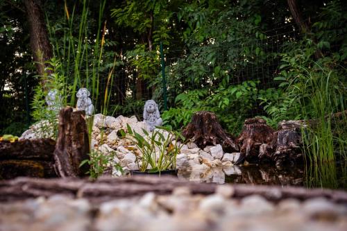 two birds sitting on top of a rock garden at Csengőd Kúria in Csengőd