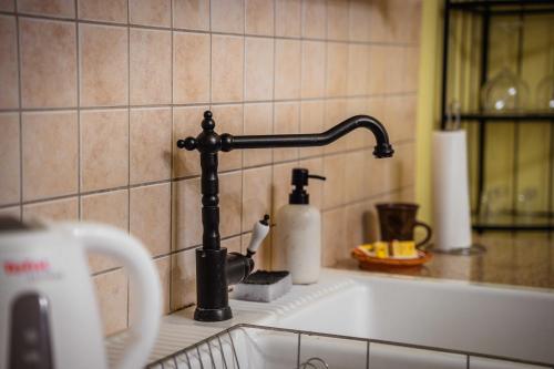 a kitchen sink with a black faucet at Csengőd Kúria in Csengőd