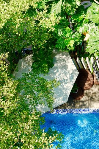 an overhead view of a pool with a bench and trees at Le Petit Villa Hoi An in Hoi An
