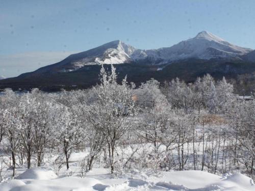 a snowy field with trees and mountains in the background at Petit Hotel Hoshi no Shizuku in Kitashiobara