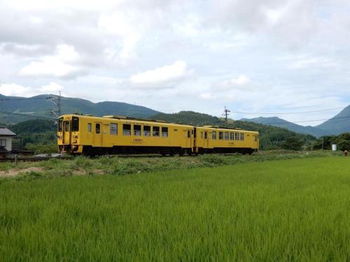 a yellow train on the tracks next to a field at Yufuin Matousou in Yufuin