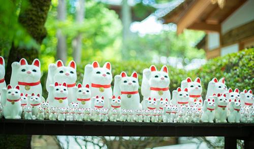 a group of white cats figurines on a shelf at Sangenjaya Modern Stay in Tokyo