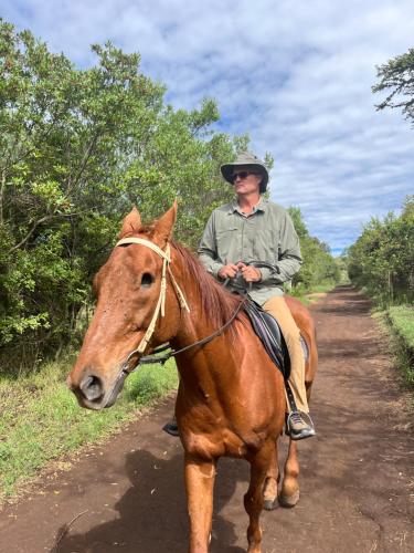 a man riding a horse on a dirt road at Magical Malewa Retreat in Naivasha