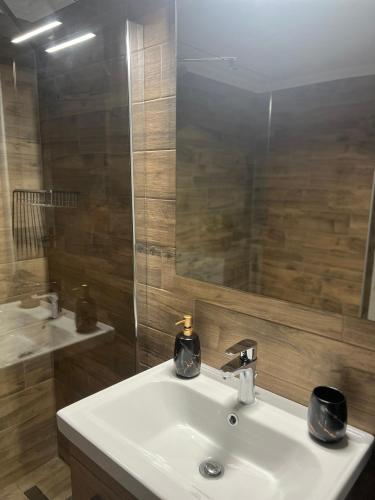 a bathroom with a white sink and a mirror at Dimitris Family Apartment in Nea Moudania