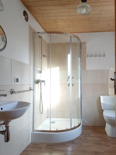 a bathroom with a shower and a sink and a toilet at DOMKI U JOANNY in Przezmark