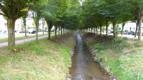 a tree lined road with a stream of water at die Villa, Zimmer 17, DZ in Leverkusen