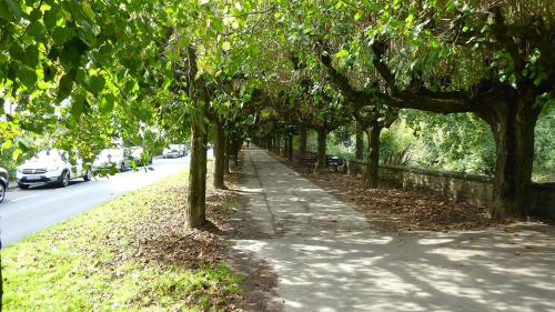 a sidewalk with trees on the side of a road at die Villa, Zimmer 17, DZ in Leverkusen