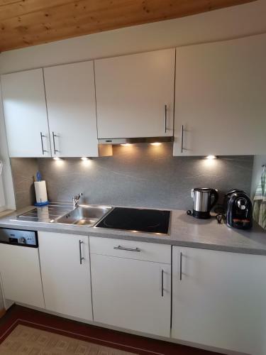 a kitchen with white cabinets and a sink at Landhaus Schwaighofer Dachstein West in Russbach am Pass Gschütt