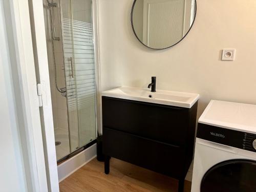 une salle de bain avec un lavabo et une douche avec un miroir dans l'établissement Le Duplex - Gare - 4 Personnes, au Mans