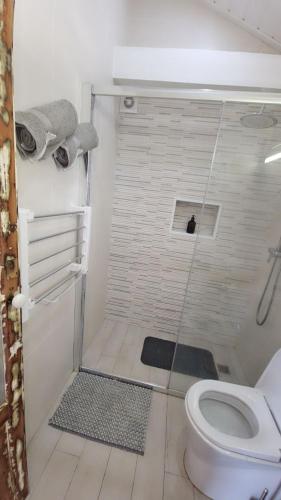 a bathroom with a shower and a toilet at Casa Mar do Triângulo in Horta