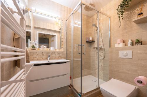 une salle de bain avec une douche, un lavabo et des toilettes dans l'établissement Disneyland-Charmant appartement 8 personnes-Terrasse-Gare-Parking, à Montévrain
