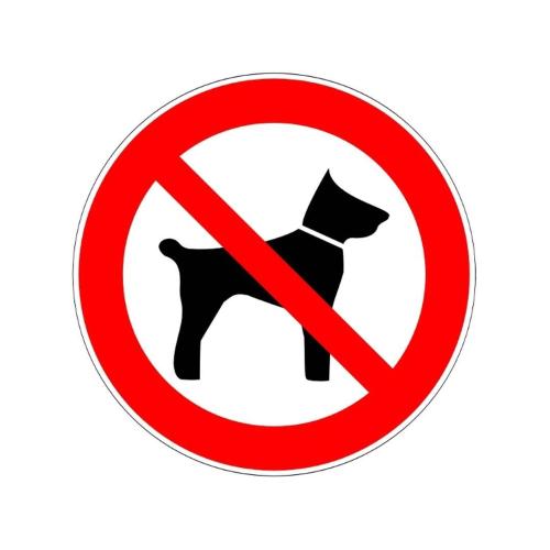 Les chiens ne sont pas admis sur fond blanc. dans l'établissement Front de mer pour ce t2 dans résidence avec piscine collective -4TRO94, à Saint Cyprien Plage