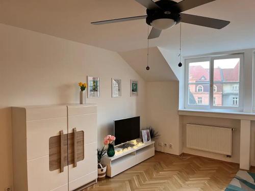 Modern apartment in the city centre