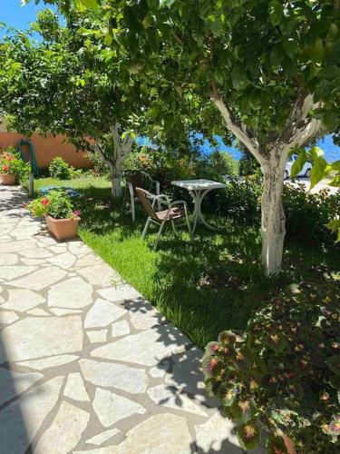 Κήπος έξω από το Studios&apartments Thomas