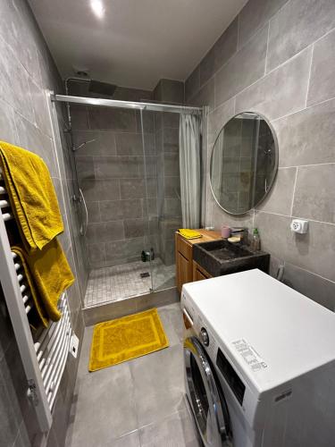 une salle de bain avec douche et machine à laver dans l'établissement Appartement en plein coeur du Marais, à Paris