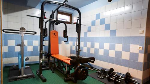 a room with a gym with a treadmill and weights at Pensjonat Pod Tatrami in Szaflary