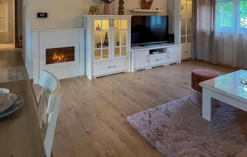 a living room with a fireplace and a television at Lovely Home In Krapinske Toplice in Krapinske Toplice