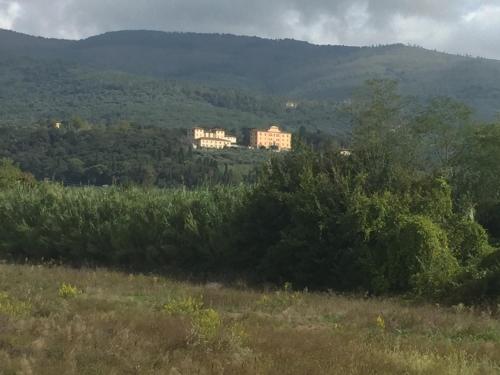 a large building in the distance behind a field of trees at Al Vecchio Leccio in Pistoia