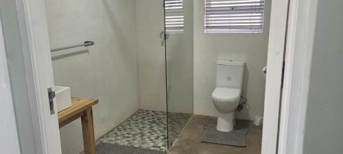 Un baño con inodoro y ducha de cristal. en Frances 10 Unit 2, en Struisbaai