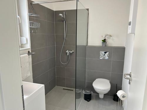 a bathroom with a toilet and a glass shower at Koblenzer Naturhaus & Apartments in Koblenz