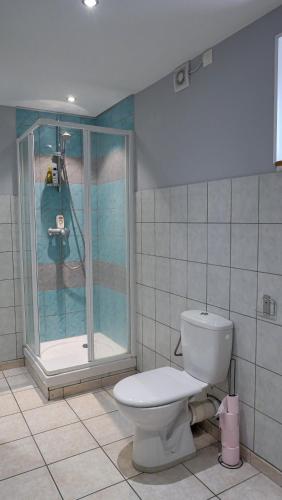 une salle de bain avec toilettes et douche dans l'établissement Montricher karellis, à 5 min de St Jean de Maurienne, à Montricher-Albanne